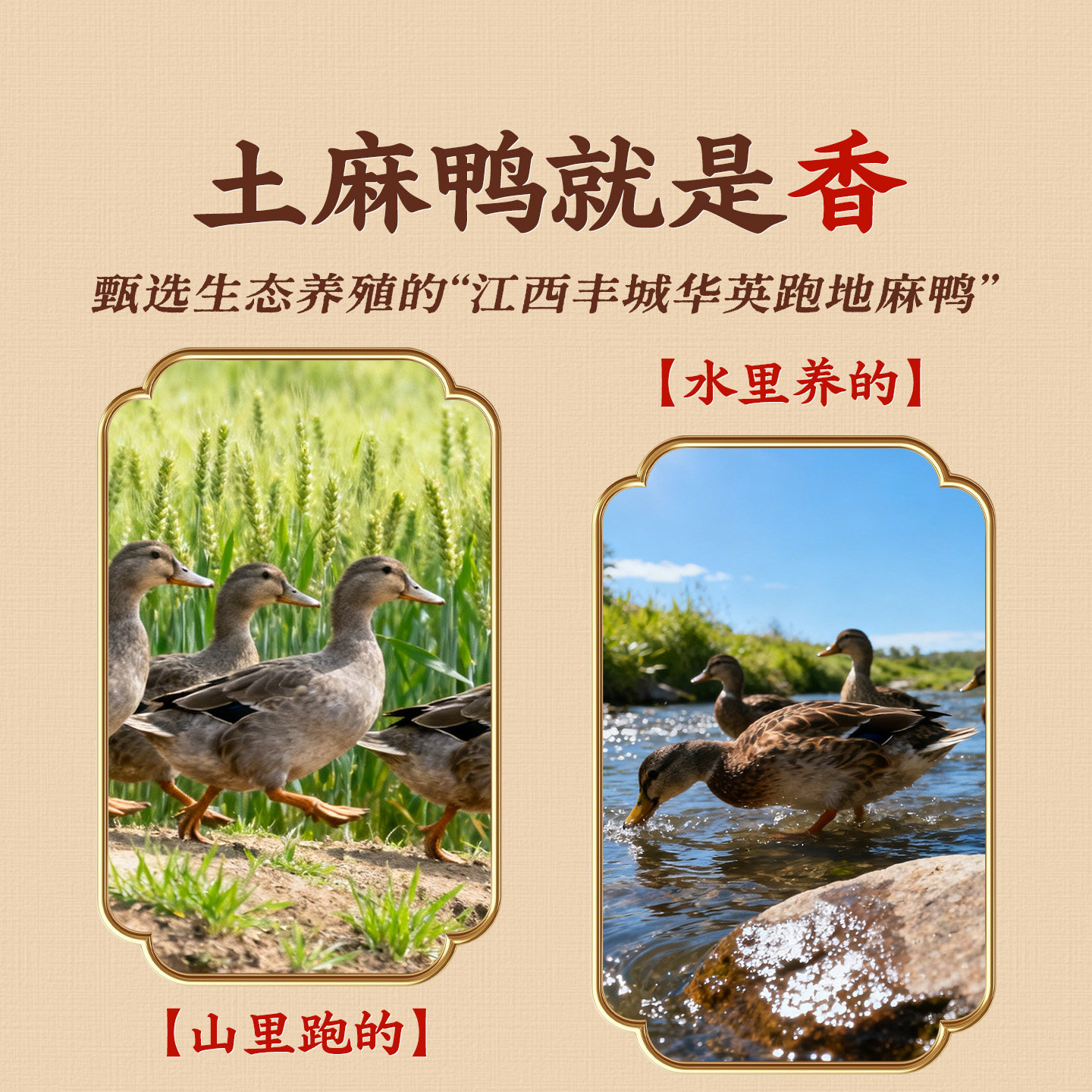 阿燕姐酱板鸭湖南特产碎碎鸭小包装追剧解馋辣味零食小吃手撕鸭肉,淘宝优惠券,粉丝福利购,淘宝优惠卷