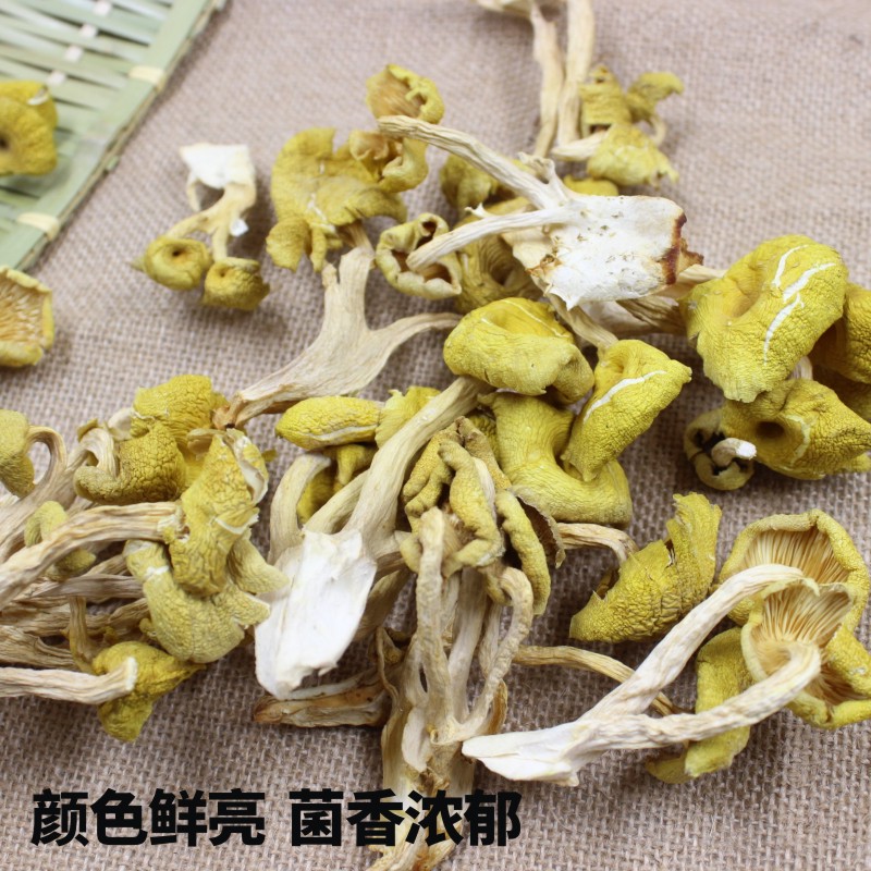 东北野生榆黄蘑干货鸡油菌黄金菇黄丝菌金顶侧耳金顶玉皇蘑黄金菇 - 图1