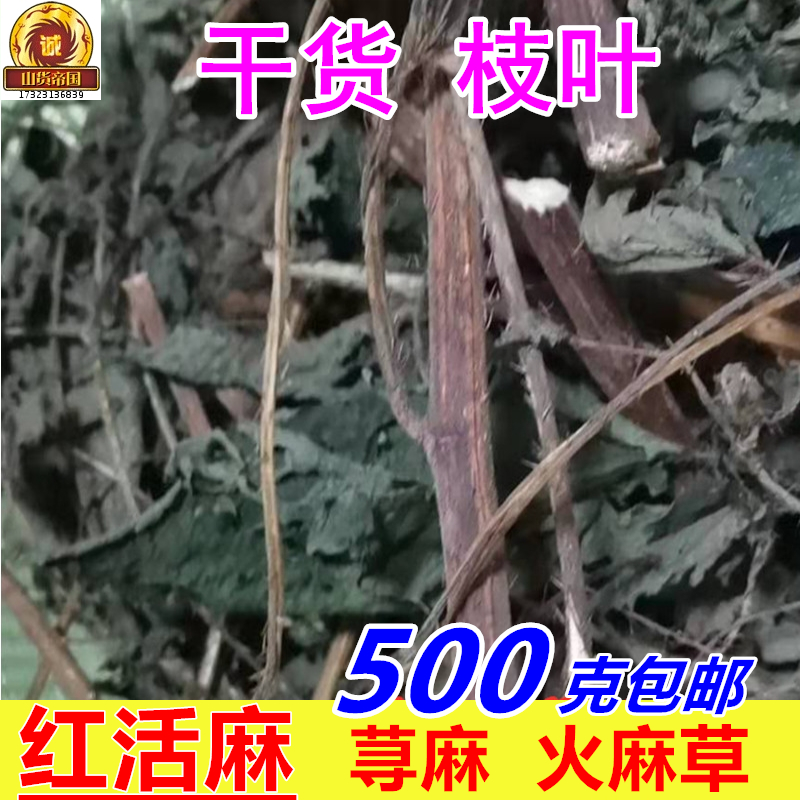 红活麻根 干货荨麻草红火麻杆叶500g包邮荨麻诊 红杆河麻草中药材 - 图0