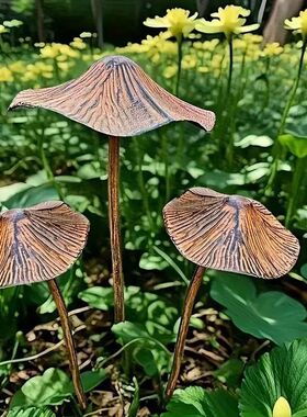 2件套复古铁艺锈色植物蘑菇中式花园摆件民宿庭院户外园林装饰