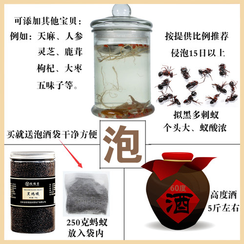 黑蚂蚁干长白山蚁拟黑多刺蚁500g养生泡酒料大蚁酸非野生黑蚂蚁粉 - 图1