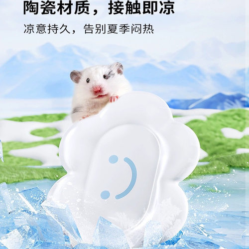 卡诺仓鼠冰垫金丝熊冰窝散热板清凉屋夏季花枝降温专用夏日用品 - 图0