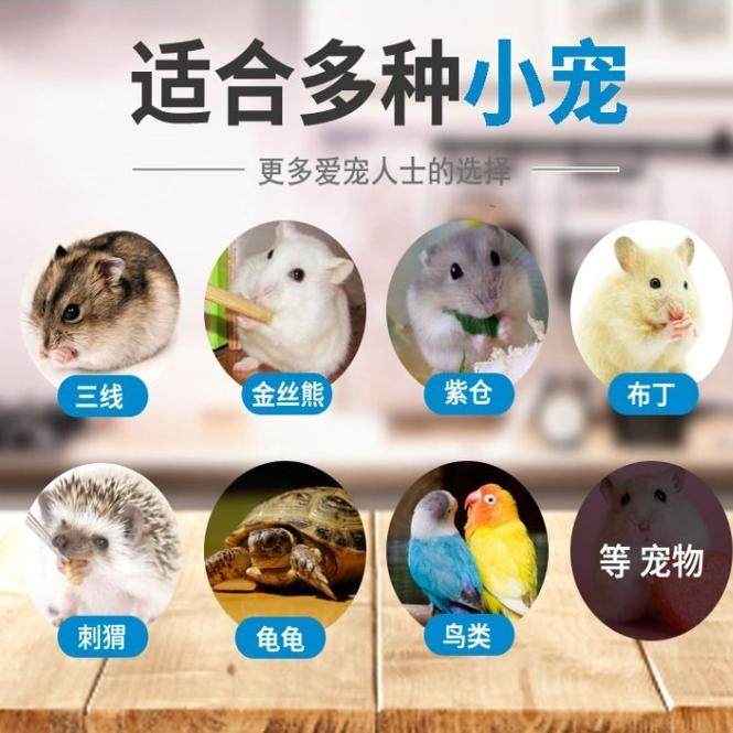 面包虫活虫子喂鸡喂鸟吃的食物活体鹦鹉鱼蝎子画眉鸟八哥饲料龟粮,淘宝优惠券,粉丝福利购,淘宝优惠卷