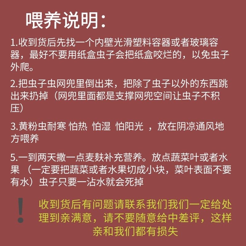 面包虫活体黄粉虫活鹦鹉鱼金龙鱼乌龟画眉鸟食石蛙饲料八哥粮包邮,淘宝优惠券,粉丝福利购,淘宝优惠卷