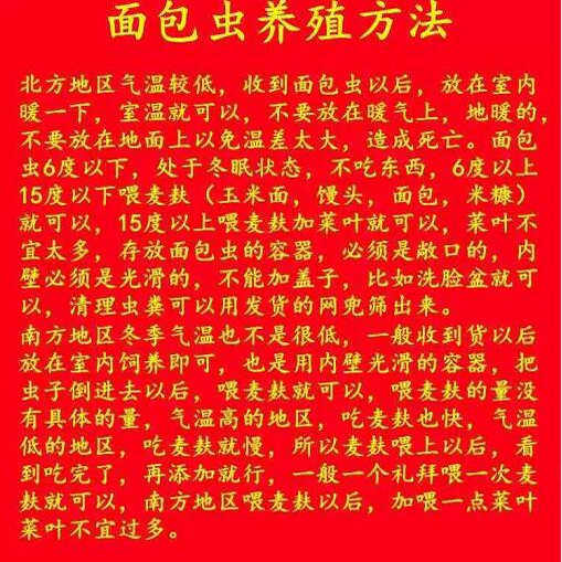 活虫大麦虫面包虫大号活饵仓鼠蜥蜴守宫金龙鱼乌龟八哥画眉活体虫,淘宝优惠券,粉丝福利购,淘宝优惠卷