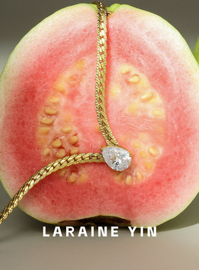 LARAINEYIN时尚百搭水滴锆石蛇骨链钛钢项链女锁骨链小众设计复古