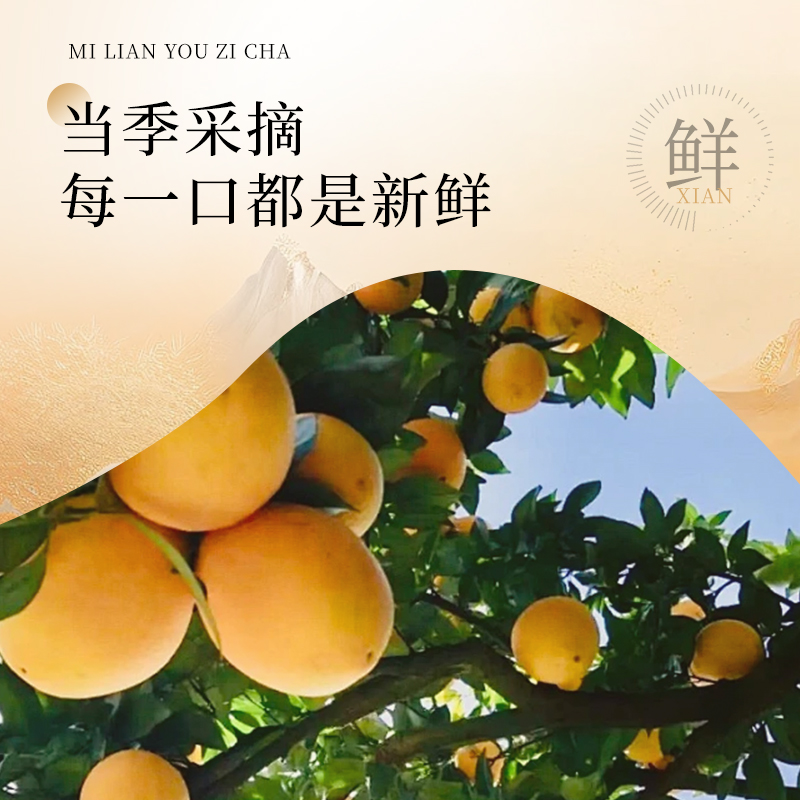 【量贩】恒寿堂蜂蜜柚子茶柠檬百香果冲饮水果茶酱品泡水喝的大瓶