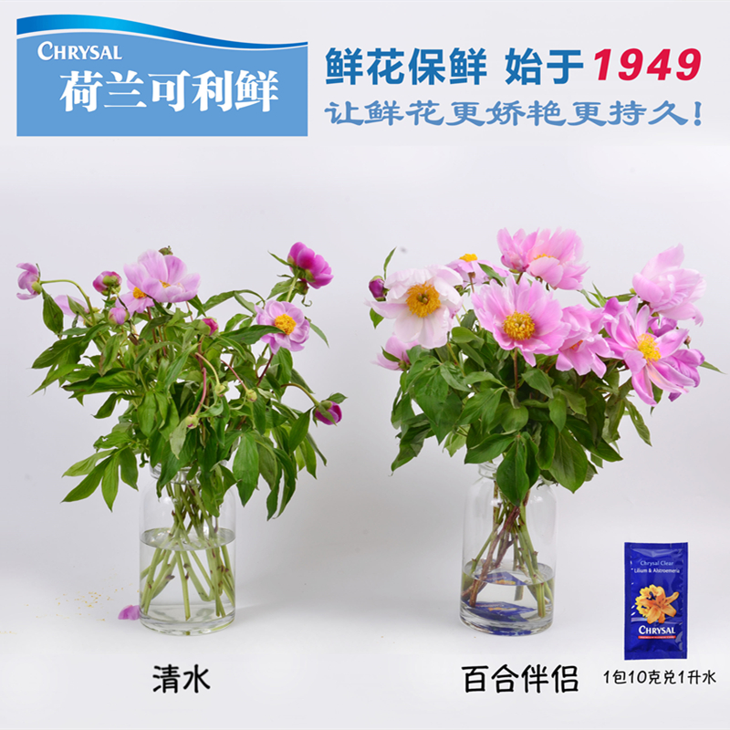 杨苏莹花房荷兰可利鲜玫瑰芍药专用百合伴侣鲜花保鲜剂营养液包邮-图3