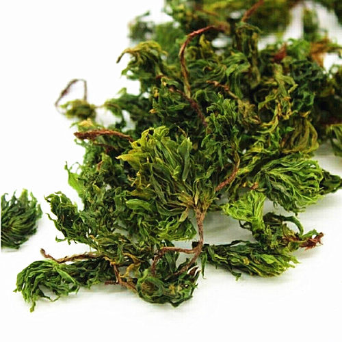 干品回心草正宗云南中药材250g包邮大叶藓茴薪草铁脚一把伞茴心草 - 图1