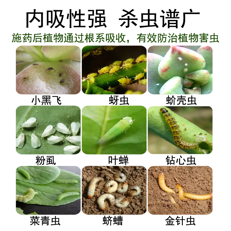 坪安杀单噻虫嗪药肥杀虫剂杀虫补肥氮磷钾内吸预防虫害小白药花药 - 图1