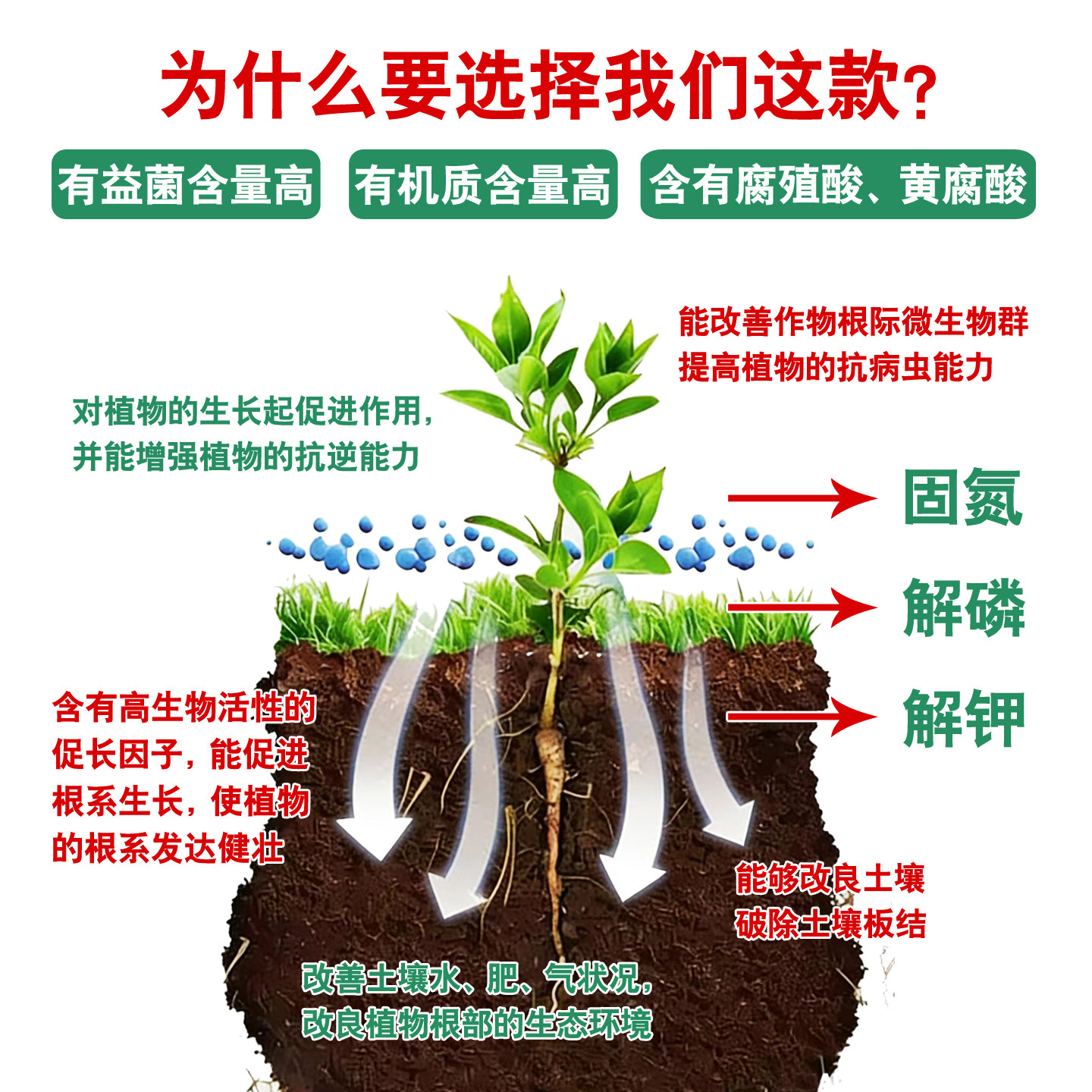 森活绿富源枯草芽孢菌杆菌新型微生物菌肥有机肥料发酵剂生根壮苗,淘宝优惠券,粉丝福利购,淘宝优惠卷