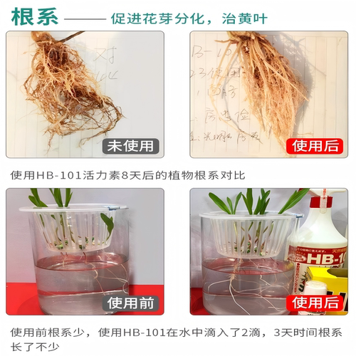植物营养液hb101花肥料家用盆栽通用型多肉兰花卉绿植生根复活液 - 图2