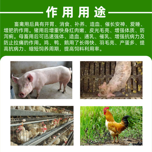 兽用氨基酸营养液猪鸡鸽子鸭鹅禽补充营养开胃造血促长复合维生素 - 图0