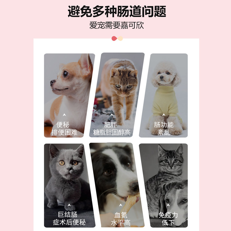 中农动保乳果糖口服液猫咪口服宠物狗狗营养补充改善肠胃促进排便