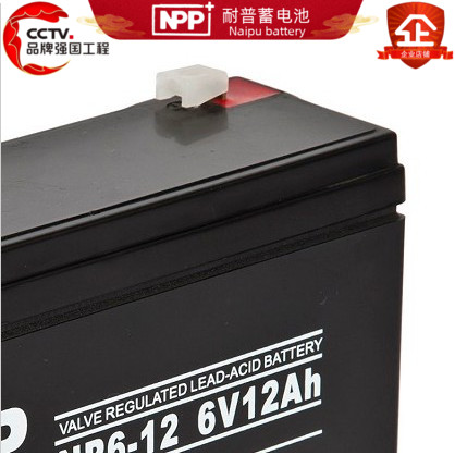 耐普NPP蓄电池 6V12AH应急照明设备仪器用电池NP6-12Ah玩具蓄电池 - 图1