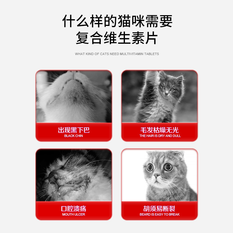 谷登猫用复合维生素片幼猫维生素b防猫癣掉毛有助增强猫咪免疫力-图3