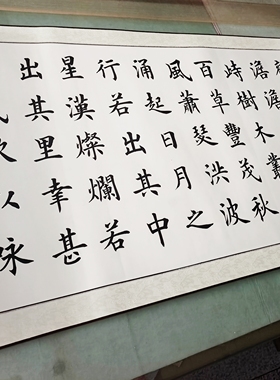 观沧海卷轴装裱手写书法作品真迹字画客厅挂画办公室装饰画定制