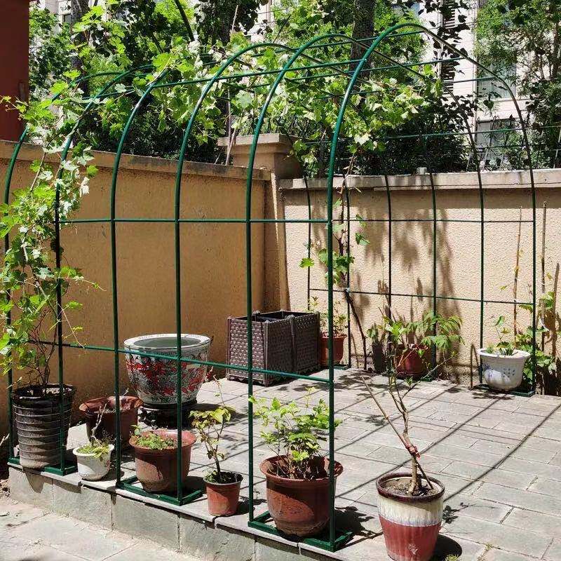 室内简约花架铁艺架子户外葡萄架绿植爬藤架花园拱门支架庭院拱形 蚂蚁园艺道具 淘优券