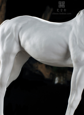 动物招财风水客厅橱柜开业礼品