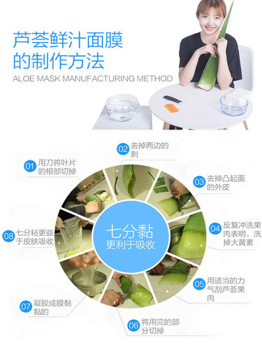 日本木立芦荟植物盆栽 龙爪菊芦荟盆栽龙爪芦荟 食用药用芦荟叶片 - 图2