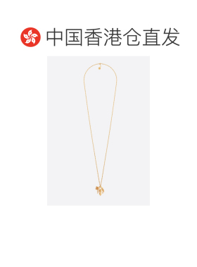 香港直邮DIOR 女士项链 N1381MFDMT300 支付后1h可退