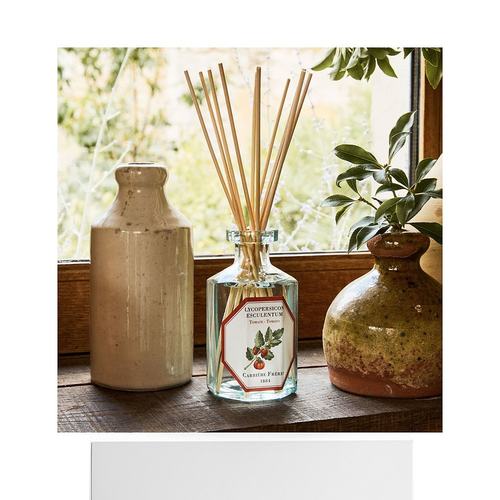 欧洲直邮法国Carriere Freres植物学家南美小番茄扩香器200ml - 图3