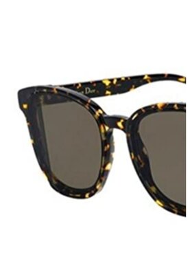Dior 徽标太阳镜 DIORSTEP