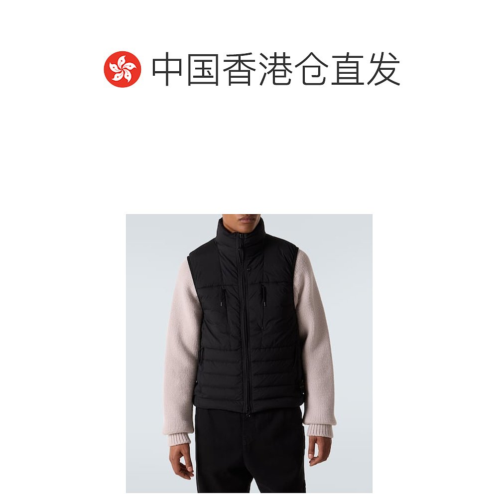 1h可退 香港直邮潮奢 Stone Island 石头岛 男士 Compass 羽绒马 - 图1