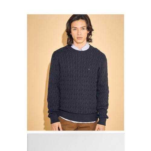 日本直邮TOMMY HILFIGER 经典缆绳圆领毛衣 上衣[TO3203EM011436] - 图3
