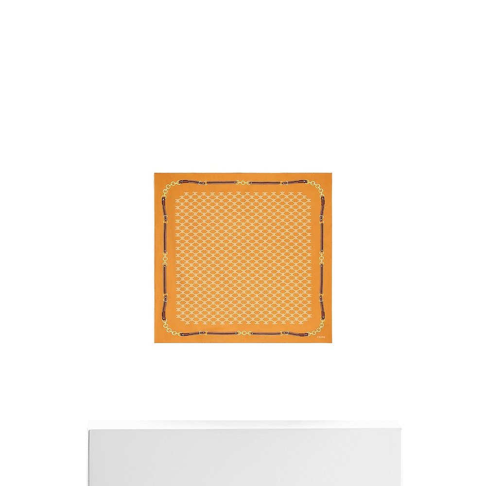 香港直邮CELINE 女士围巾 2AWB60ZV1GDN1 AW2025 黄色 HERITAGE丝 - 图3