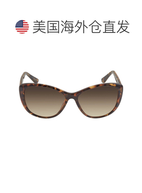 自营Calvin Klein Brown Gradient Cat Eye Ladies Sunglasses CK