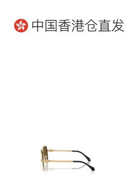 香港直邮VERSACE 男士眼镜 VE228310027I AW2025 绿色 全框太阳镜