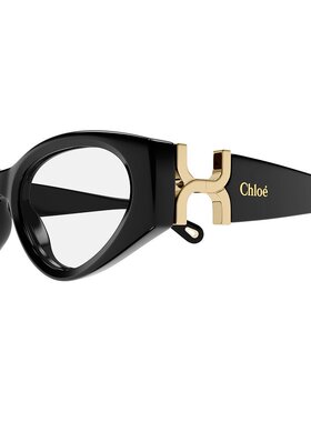 chloe 男士 太阳镜