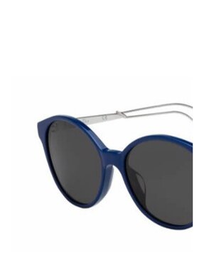Dior 徽标太阳镜 DIORCONFIDENT1