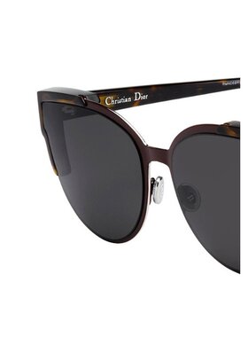 Dior 徽标太阳镜 DIORWILDLYDIOR
