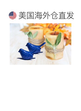 自营Vibhsa Bluebird of Happiness 家居装饰口音 2 件套 - 蓝色