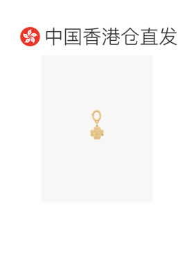 香港直邮SAINT LAURENT 女士项链 A003QAY150070067006 AW2026