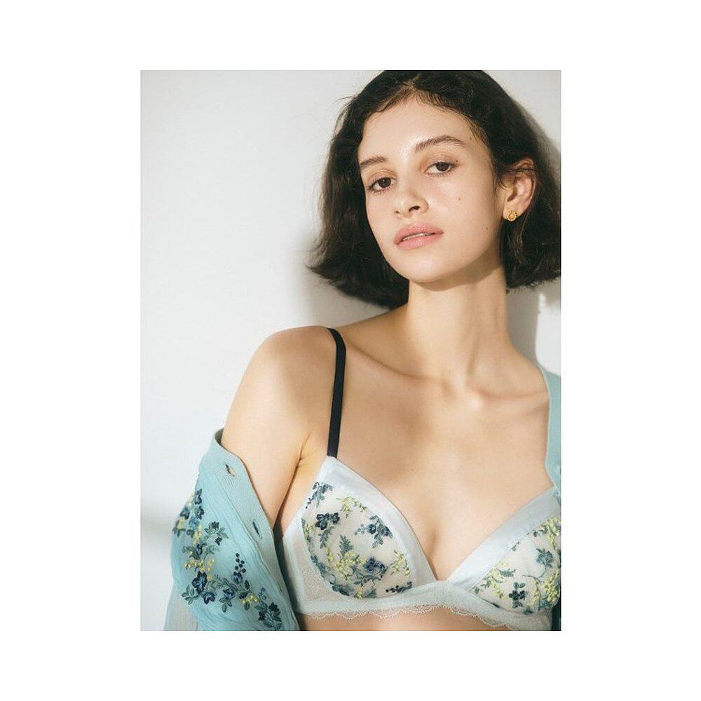日本直邮LILY BROWN 含羞草刺绣蕾丝舒适文胸(AーH杯) [L04920EW0 - 图0
