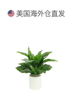 自营 creative displaysCreative 在白盆中展示受紫外线保护的 Pe