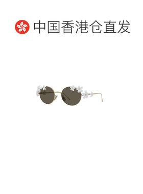 香港直邮LOEWE 女士太阳镜 LW40173U30E CO 灰色 SIGNATURE
