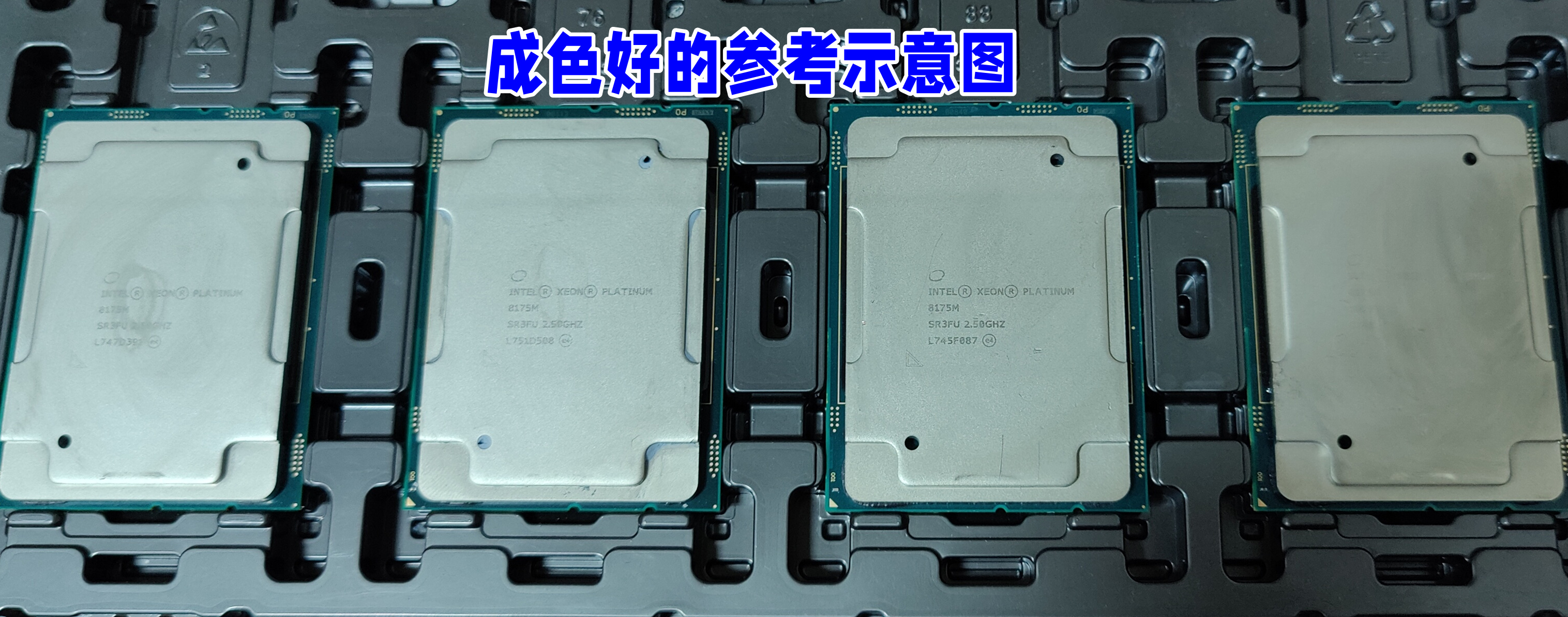 intel 志强XEON 8269CY 8163 6240C 5215T 5220R 5218T服务器CPU - 图0