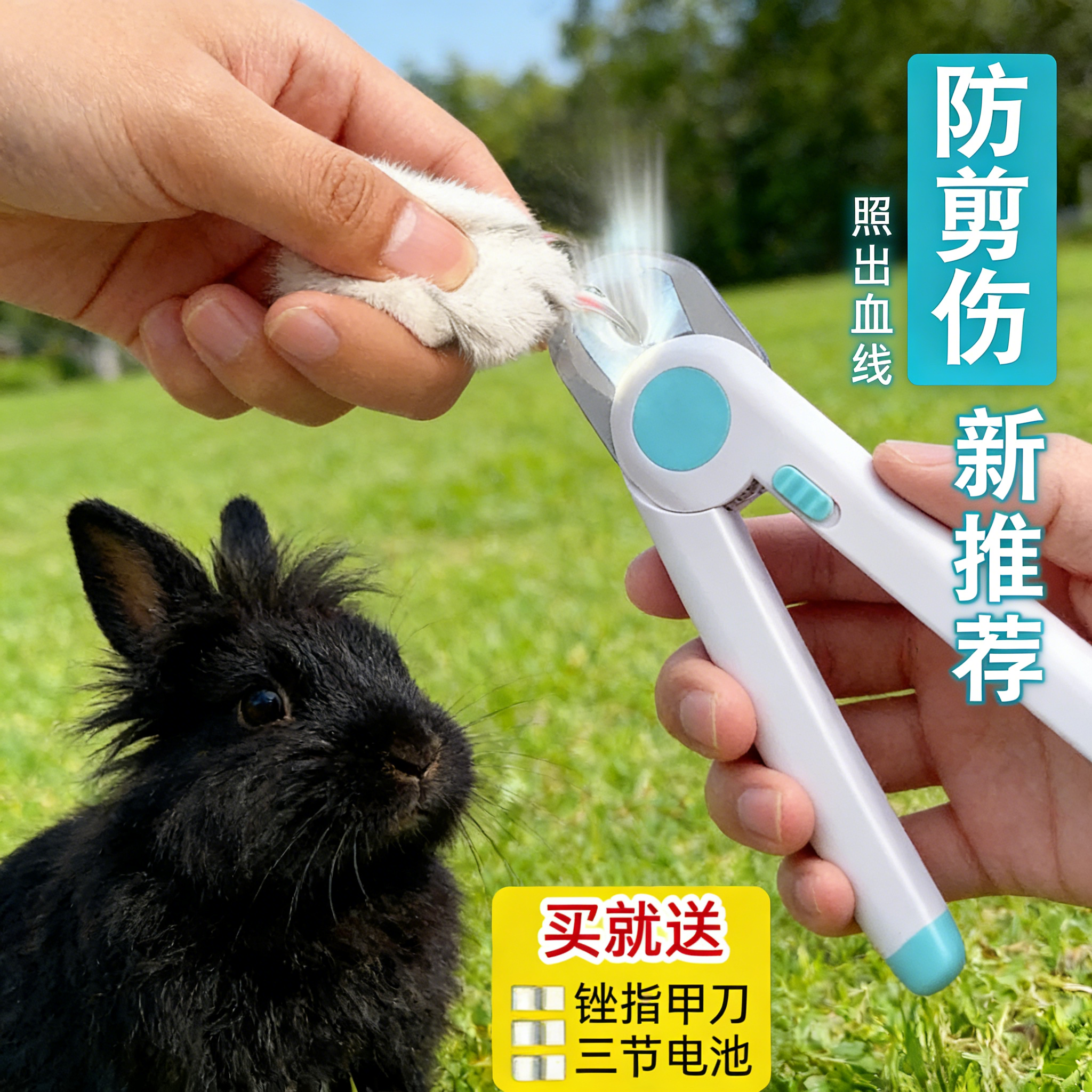 宠物用品兔子专用指甲刀 防抓伤兔兔剪刀 宠物兔子修剪工具 锐利,淘宝优惠券,粉丝福利购,淘宝优惠卷