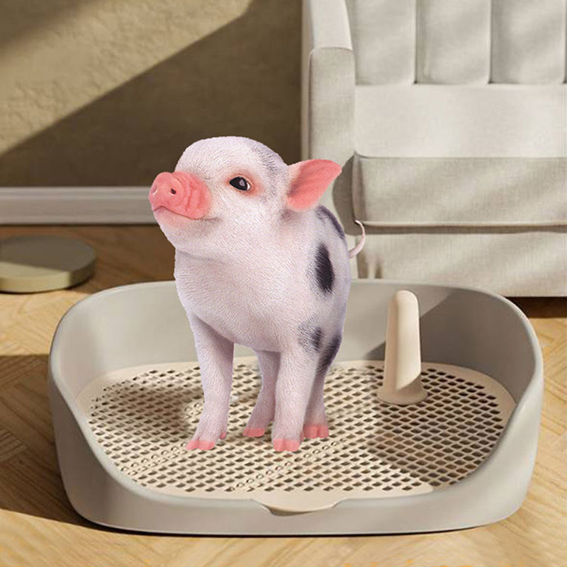 小香猪厕所专用宠物猪厕所拉屎尿粪便盆养泰国小香猪尿盆生活用品,淘宝优惠券,粉丝福利购,淘宝优惠卷