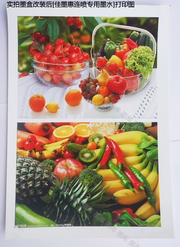 Применимый Canon 815 816 245 845 846 Всасывание чернила.