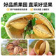 Each fruit time milk fragrant almond large can 500g