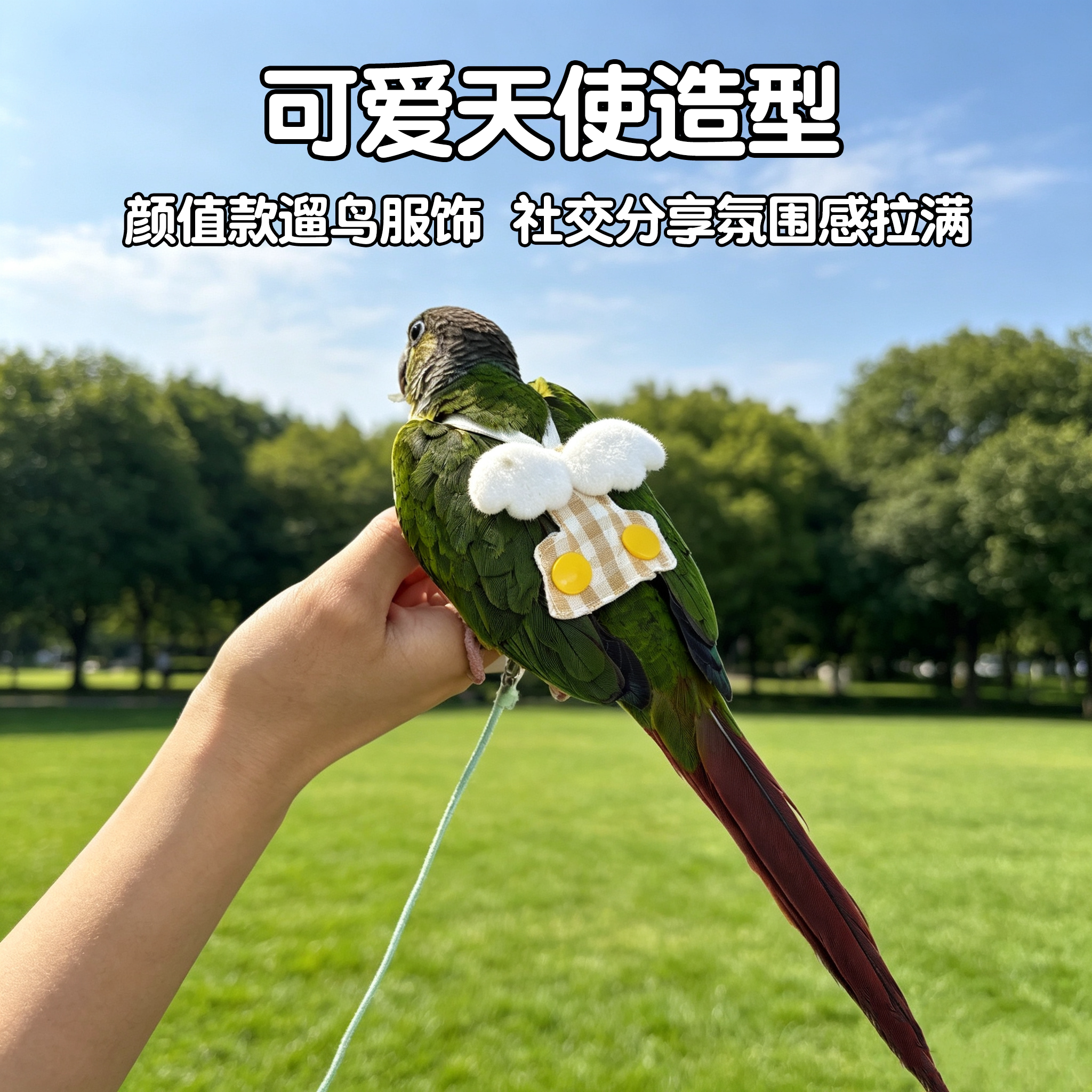 图2