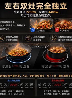 出口230V双头双灶电磁炉家用电陶炉电池炉嵌入式爆炒菜双头电炉灶