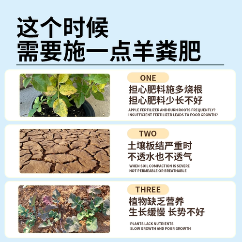 天然发酵纯鸡粪有机肥料家用种菜羊粪肥养花肥料瓜果蔬菜蚯蚓粪 - 图2