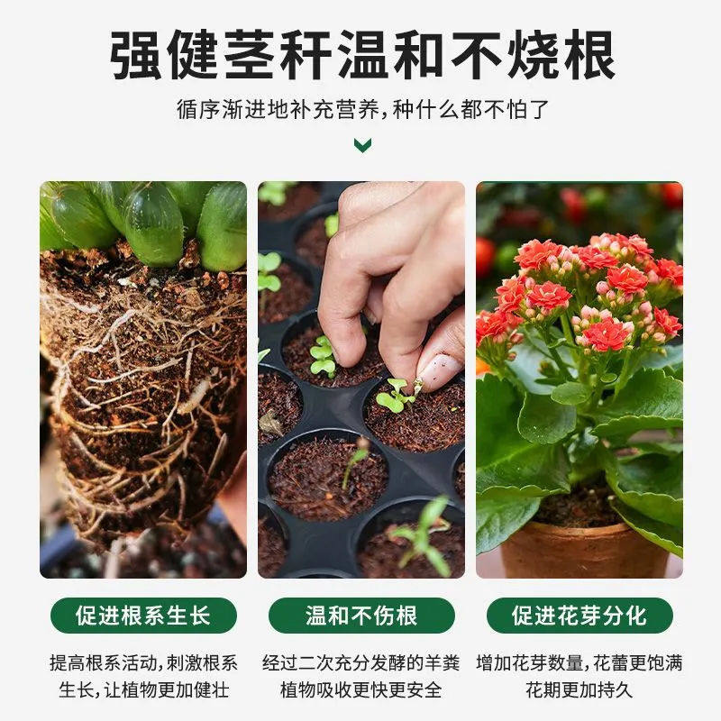 羊粪肥鸡粪肥发酵有机肥纯鸡粪羊粪腐熟肥料花卉种菜专用混合肥,淘宝优惠券,粉丝福利购,淘宝优惠卷