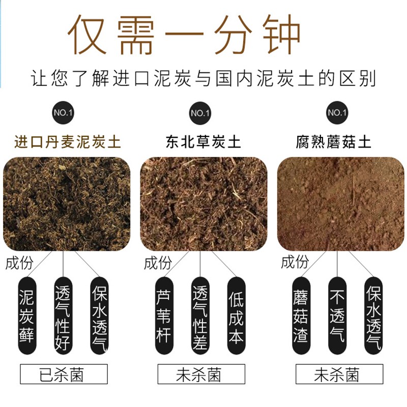 多肉颗粒土多肉专用颗粒营养土壤种植进口泥炭土叶插铺面石纯颗粒-图1